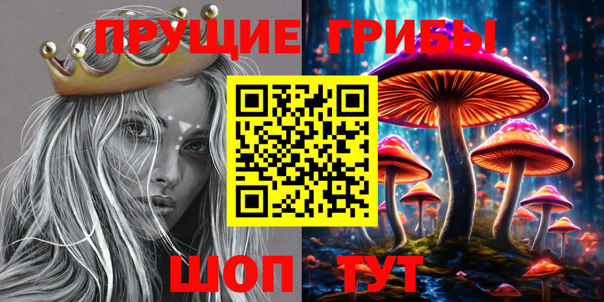 Псилоцибиновые грибы Cubensis Кимры