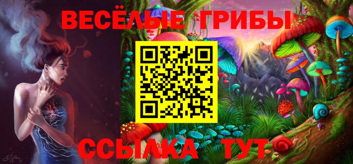 Кимры  Псилоцибиновые грибы ЛСД  сколько стоит  Вход с VPN 